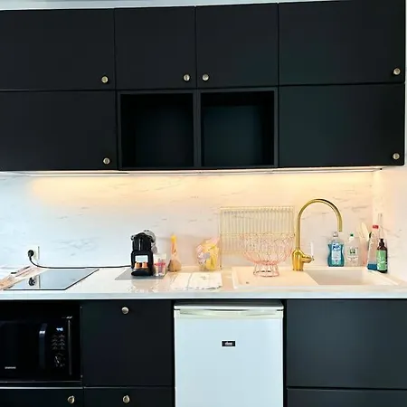 2 Voyageurs A Proximite Des Gares * Lille